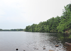 Hamdon CT