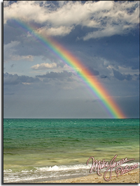 Rain Bow