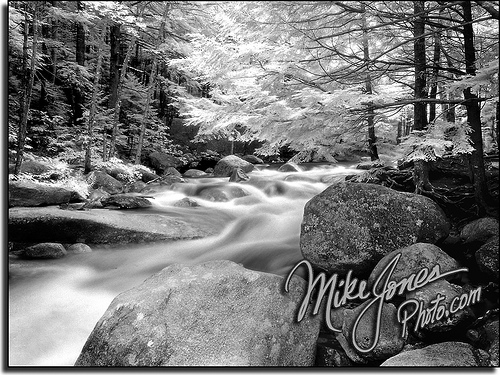 River B&W