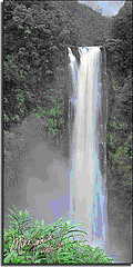 Water Fall